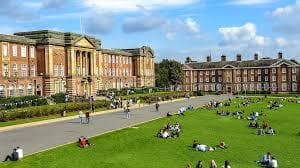 MSc Psychology
